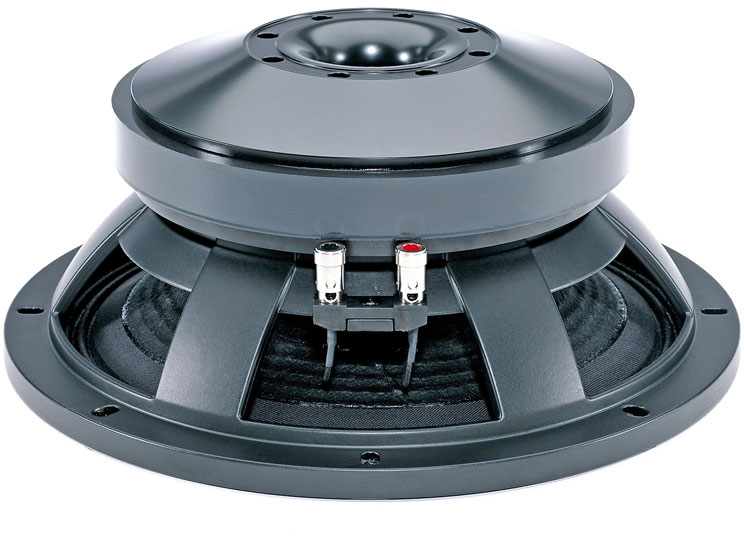 B&C SPEAKERS 12TBX100