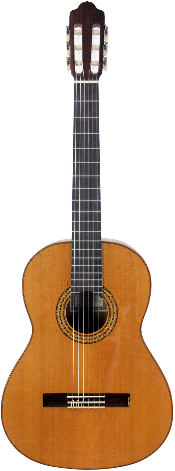 ESTEVE Mod.3 Glossy Cedar Top
