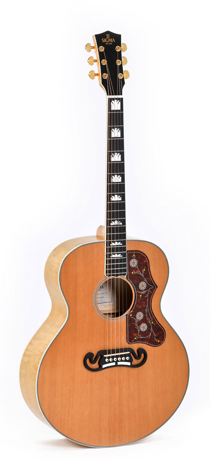 SIGMA Serie Sg Gjqa-Sg200-An Antique Nat