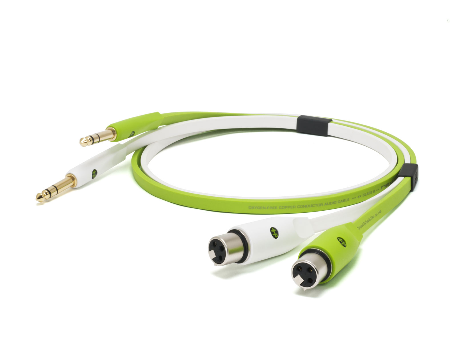 NEO BY OYAIDE Class B XLR F - Jack 3M