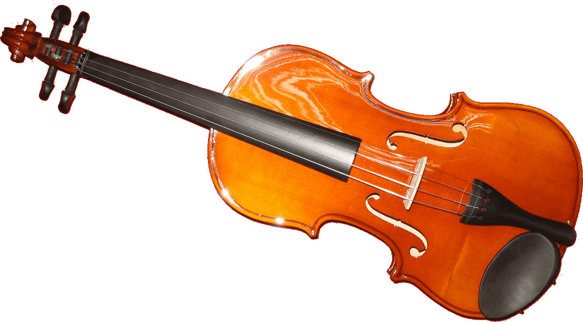 HERALD VIOLON MASSIF 4/4 (TOUCHE ÉBÈNE)