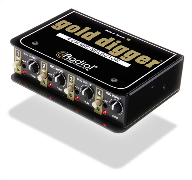 RADIAL MS4 Gold Digger
