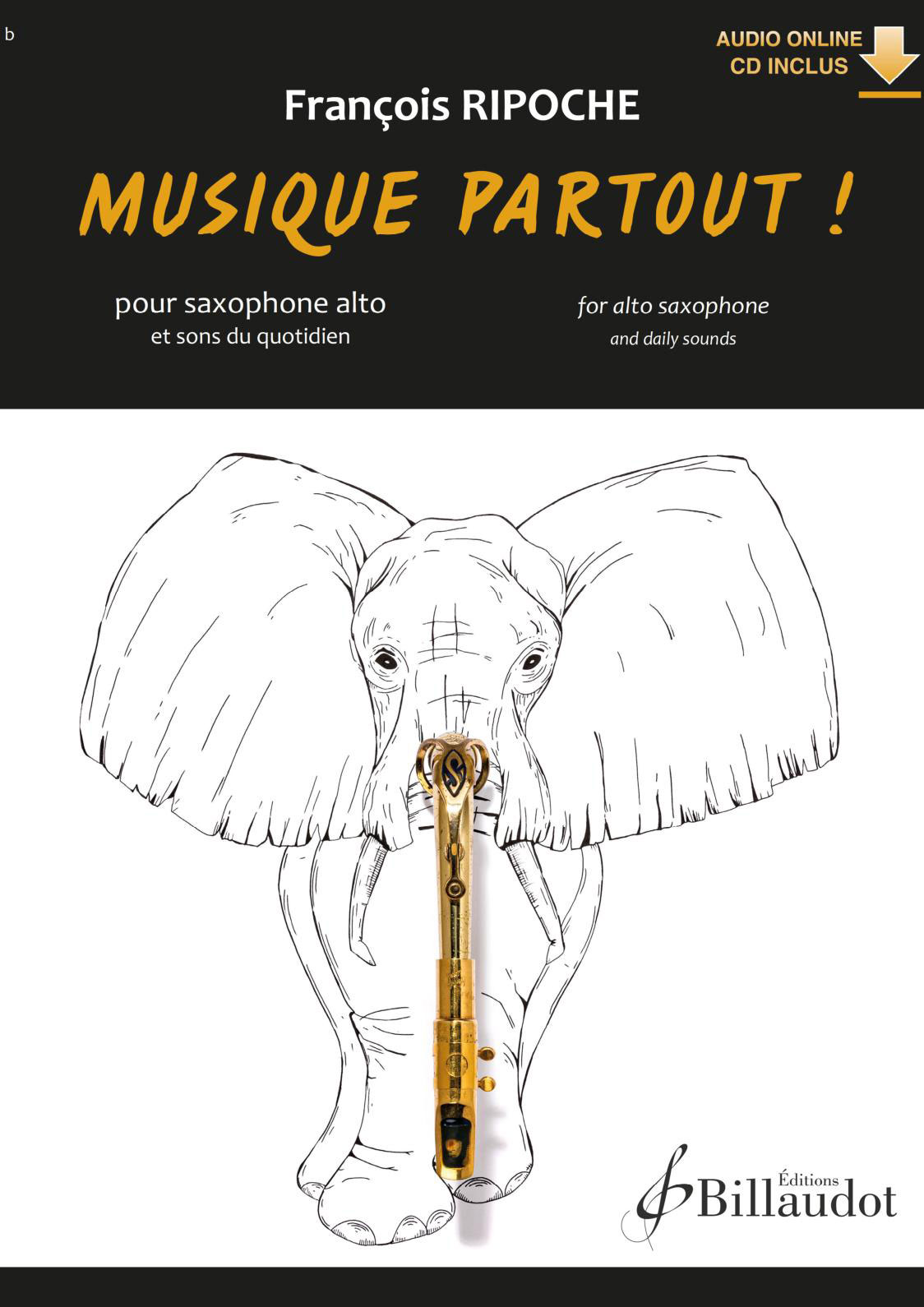 BILLAUDOT Francois Ripoche - Musique Partout
