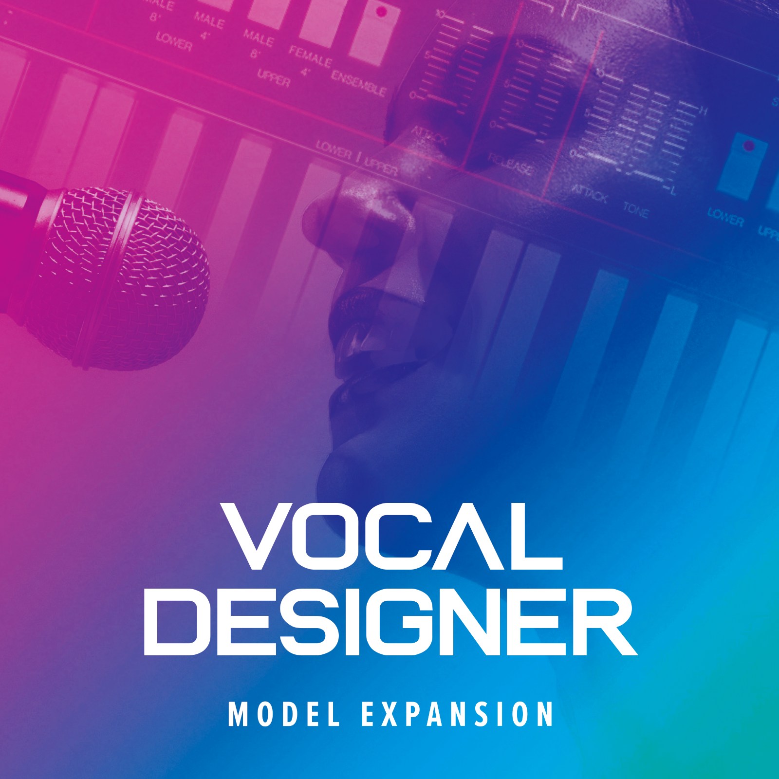 ROLAND Vocal Designer Model Exp