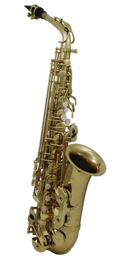 ROY BENSON EB-ALT SAXOPHON AS-202 STUDENT SERIES 