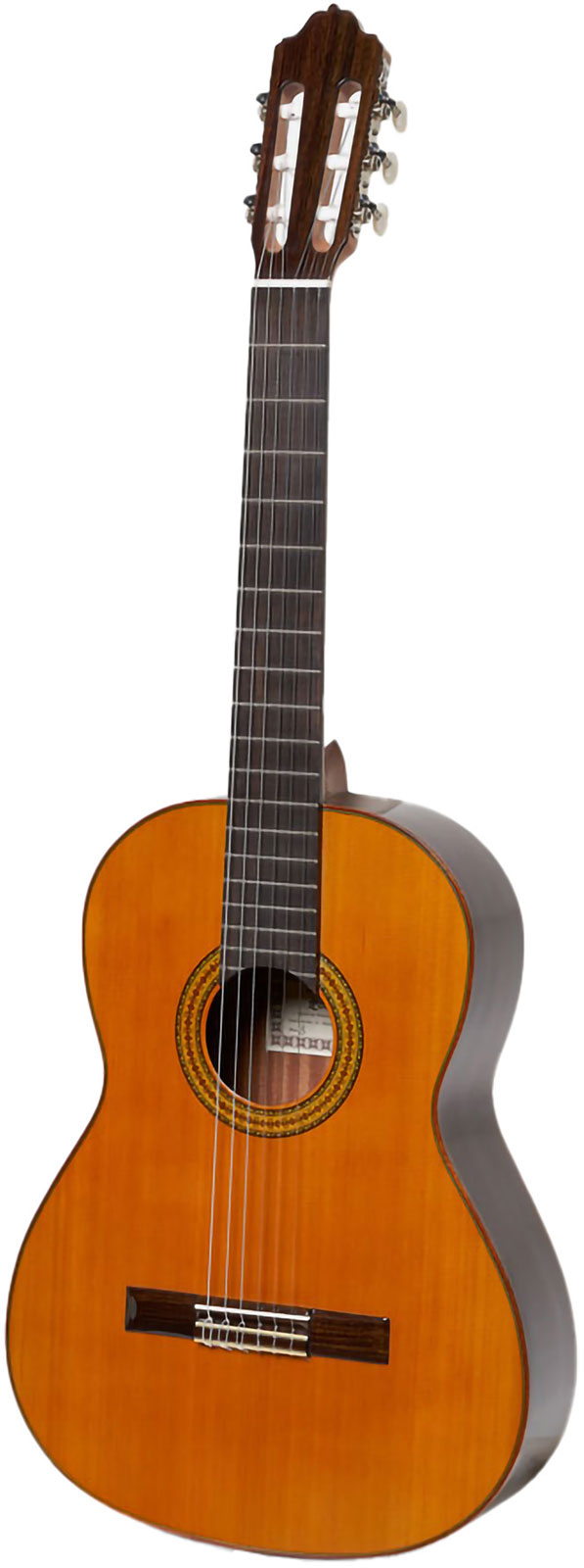 ESTEVE Mod.3 Cedar Top