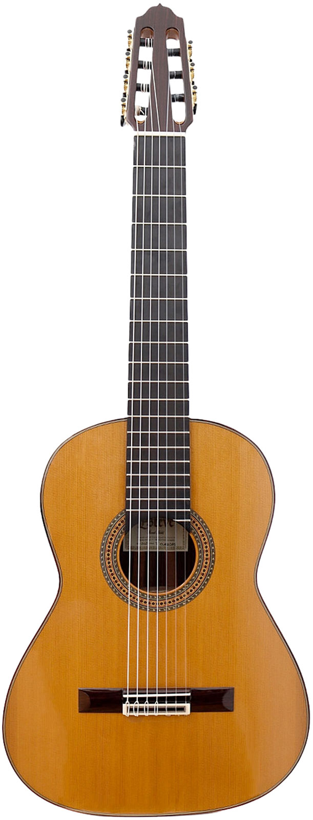 ESTEVE 7Cuerdas Cedar Top