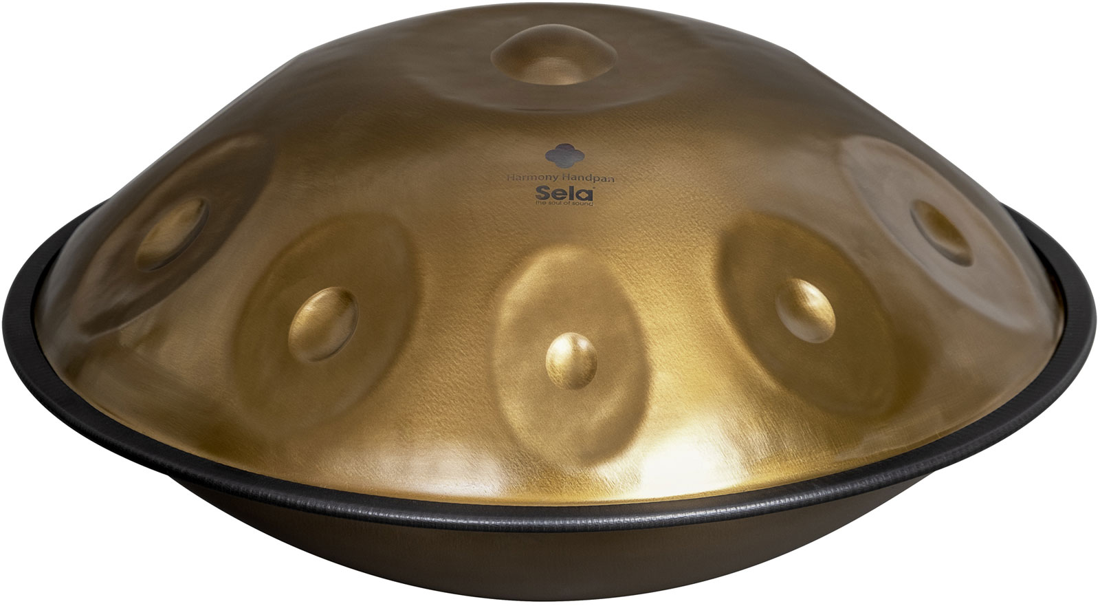 SELA PERCUSSION SE-330 Harmony Handpan D Kurd 10 (440 Hz)