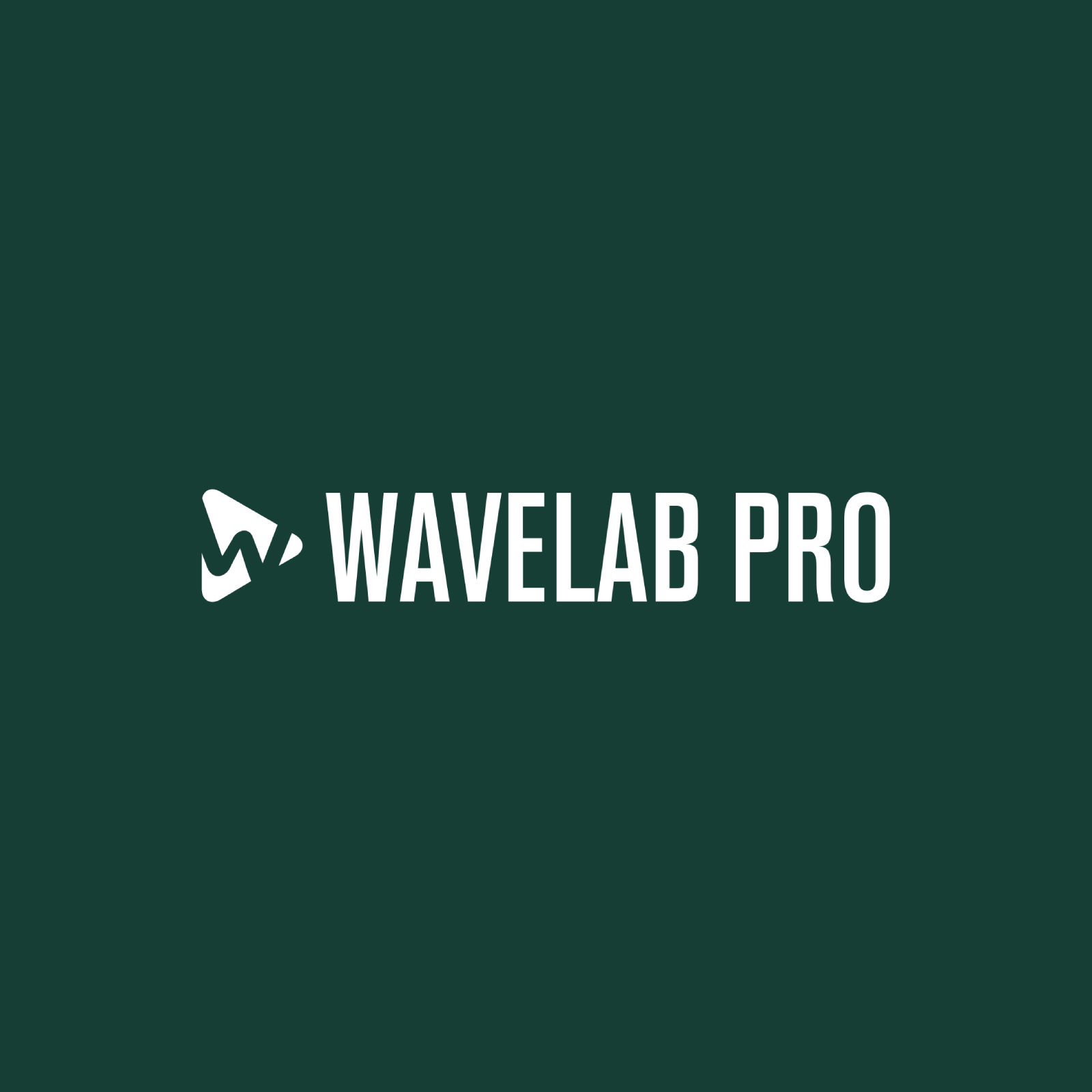 STEINBERG Wavelab Pro 12