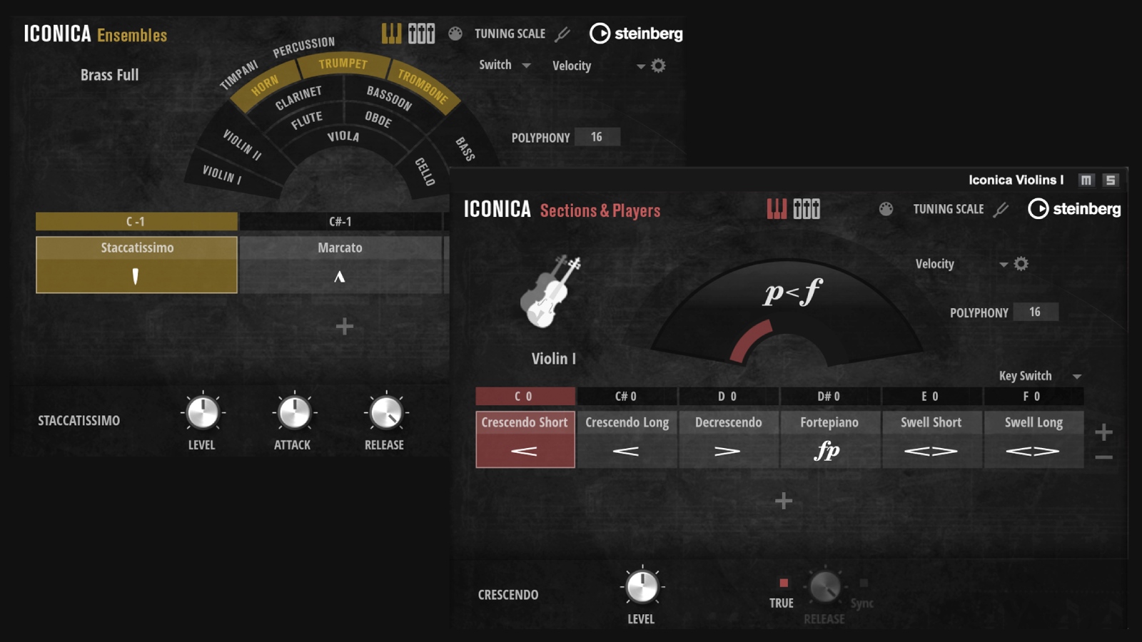 STEINBERG Iconica Opus