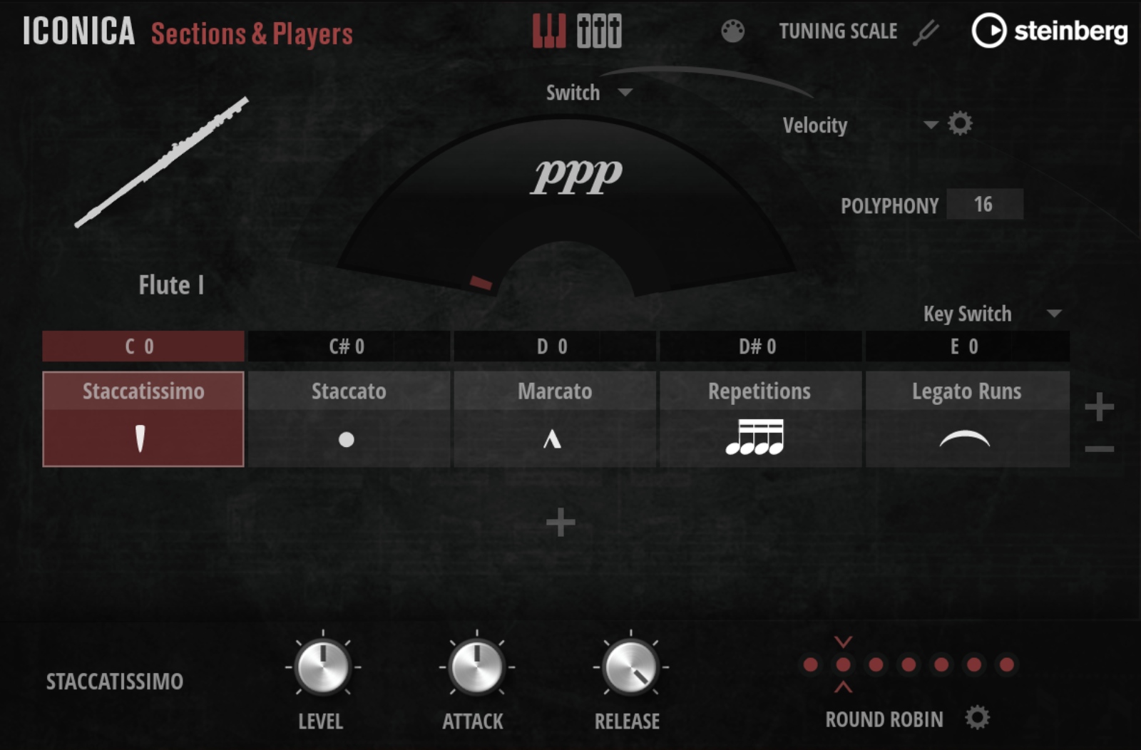 STEINBERG Iconica Sections & Players