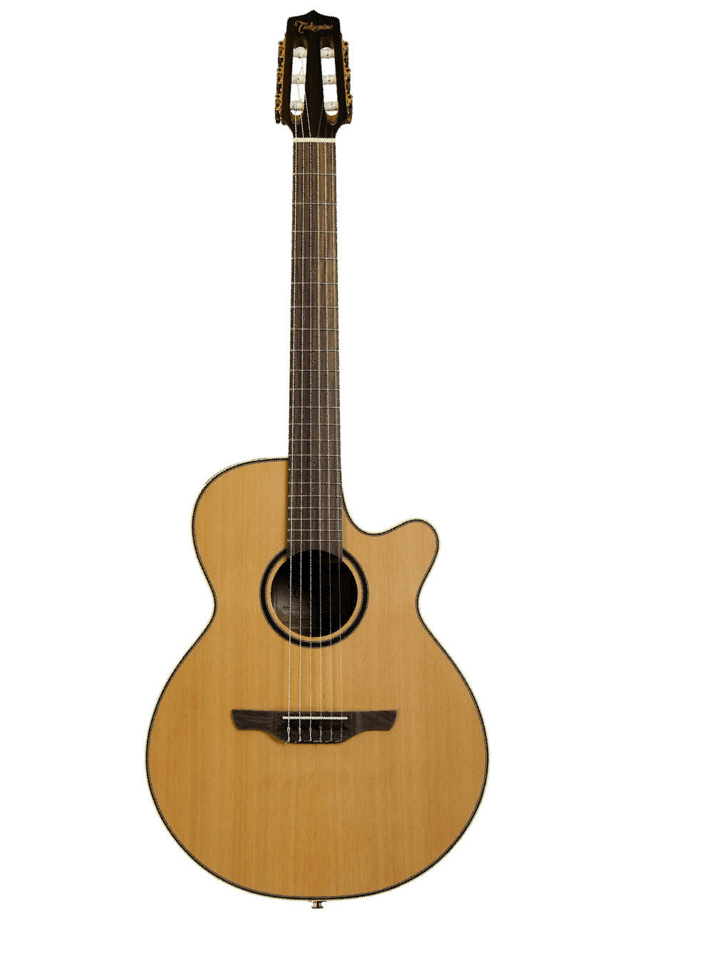 TAKAMINE Japan Ec P3Fcn Fcx Cutaway Nylon