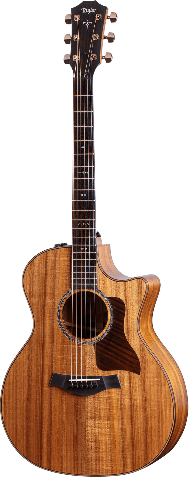 TAYLOR GUITARS 724Ce Grand Auditorium Gloss