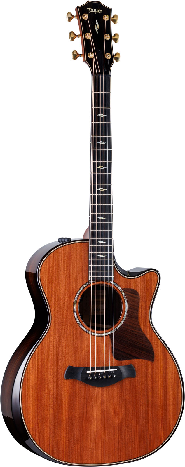 TAYLOR GUITARS 814ce Builder's Edition Honduran Rosewood / Adirondack