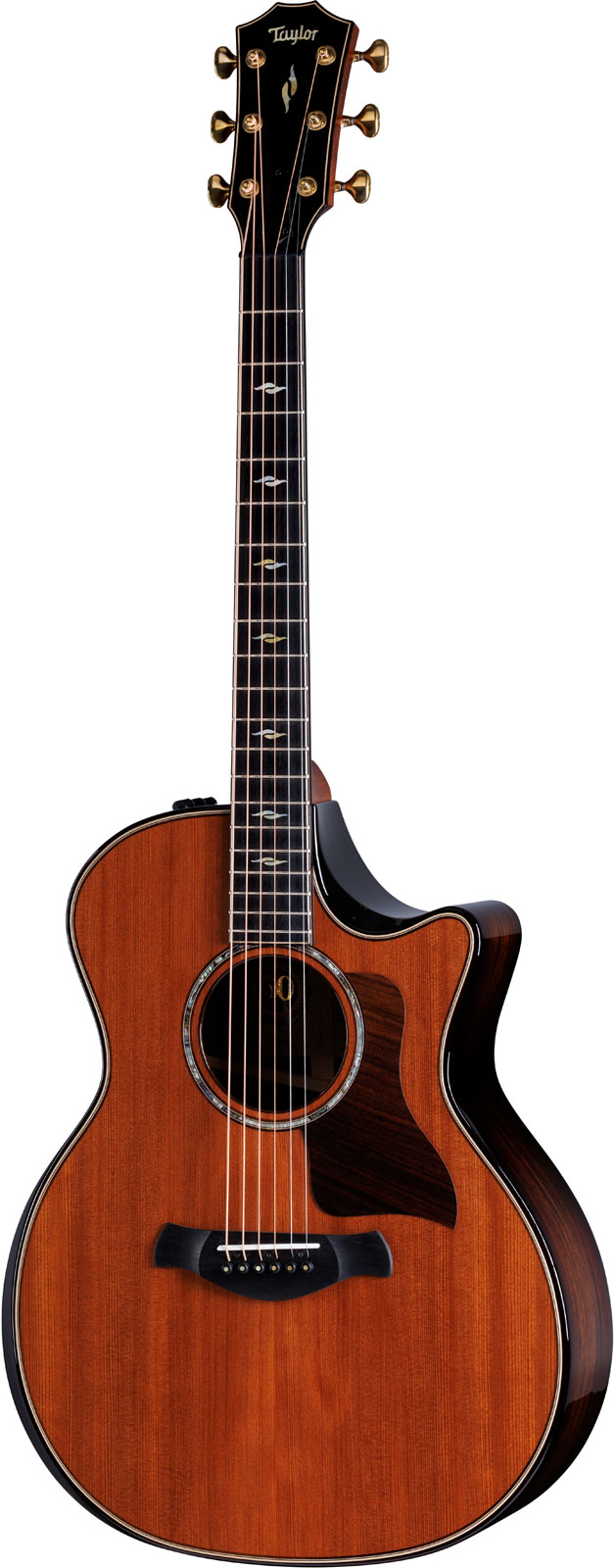 TAYLOR GUITARS 814Ce Be Ltd 50Th Anni Grand Auditorium