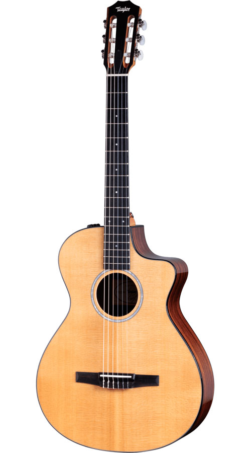 TAYLOR GUITARS 