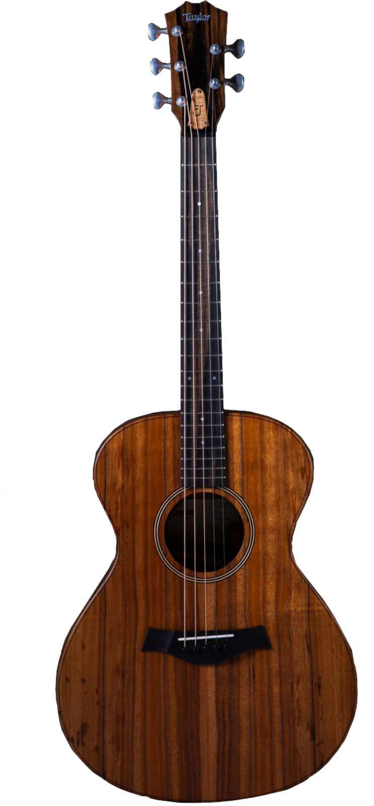 TAYLOR GUITARS Jacob Collier Signature Model JCSM-5