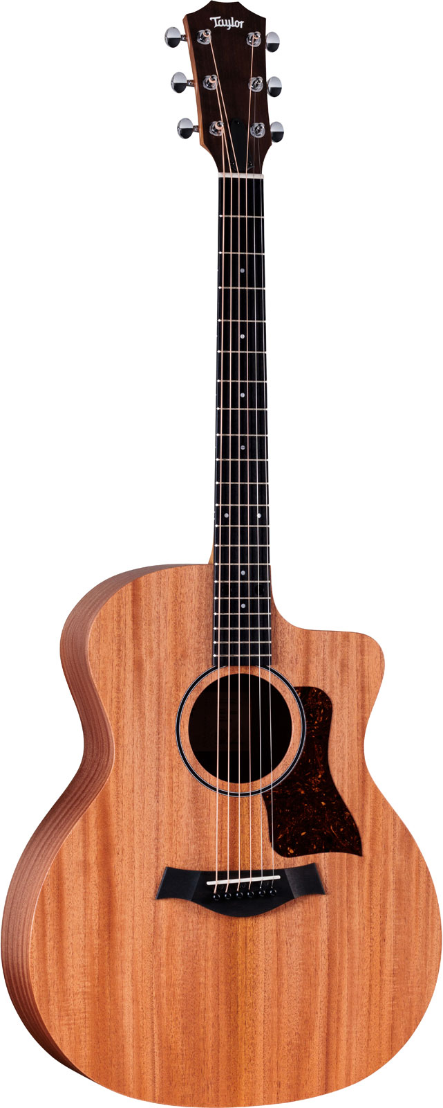 TAYLOR GUITARS 24ce