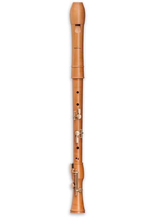 MOLLENHAUER CANTA TENOR CONFORT 2446C - POIRIER