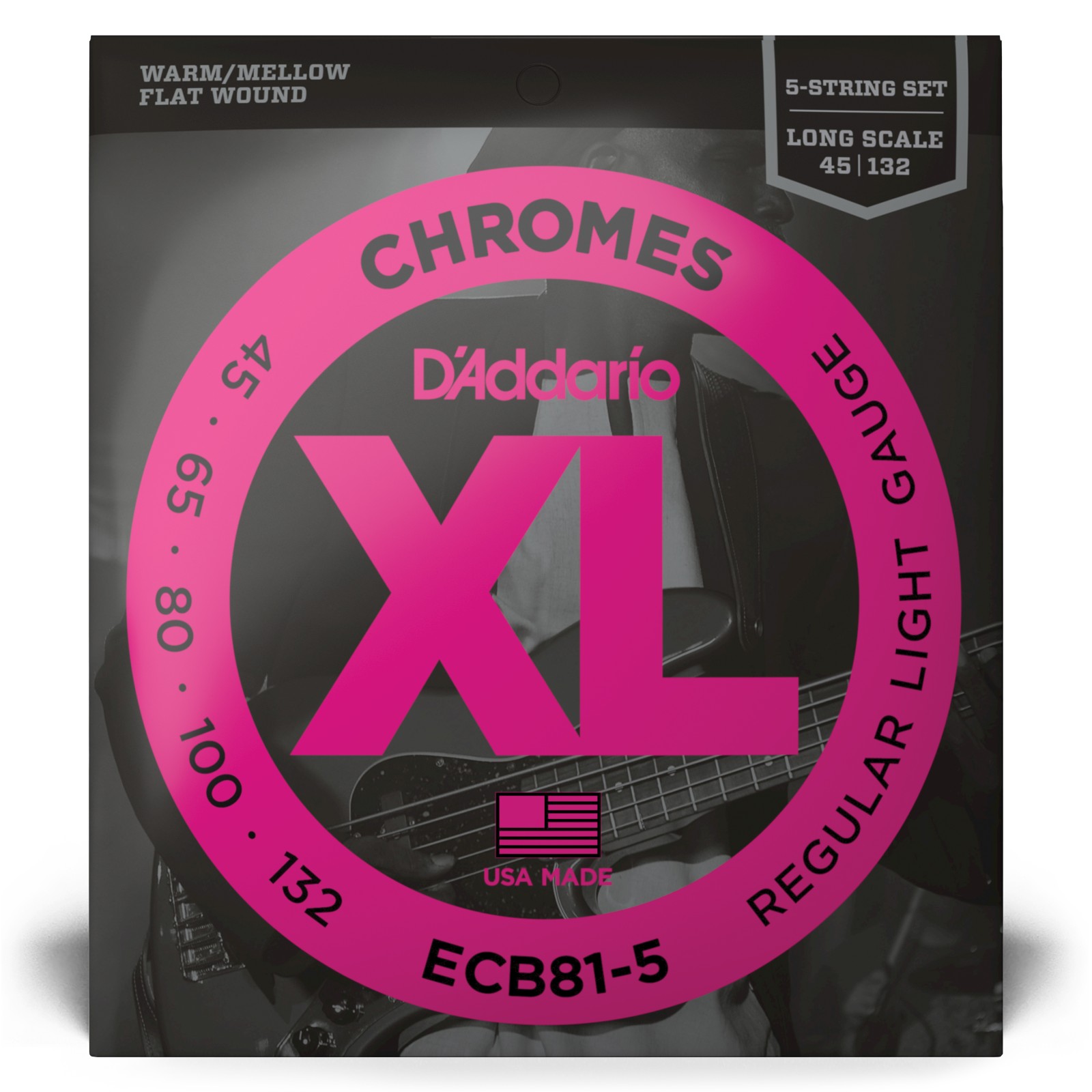 D'ADDARIO AND CO ECB81-5 Chromes Long Scale Light 5C 45-132