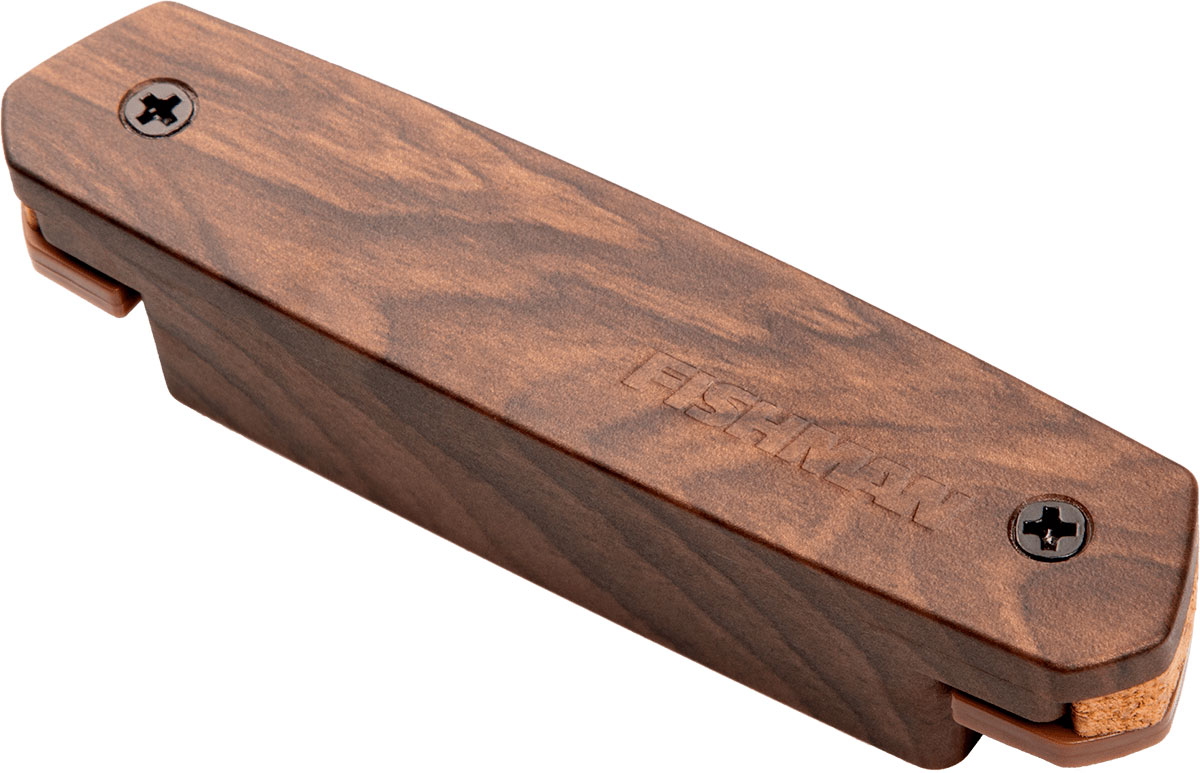 FISHMAN NEO-d Simple Bobinage