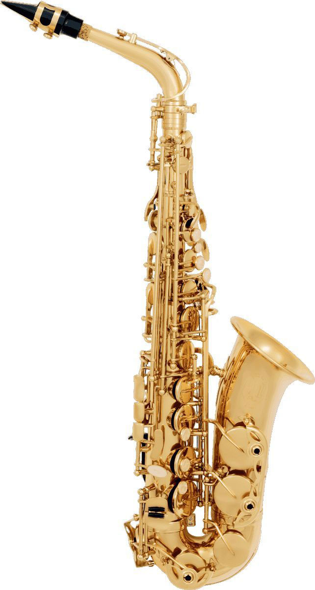 SML PARIS ALTO SAXOPHONE BEGINNER VARNISHED A300
