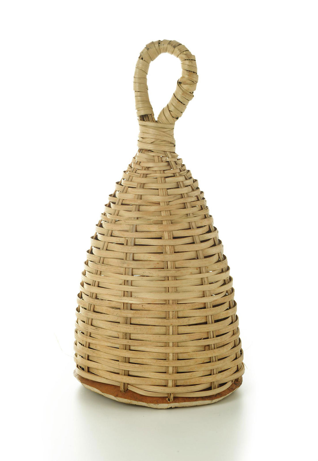 YOMAN MC006 - CAXIXI PALM SEEDS - MOYEN