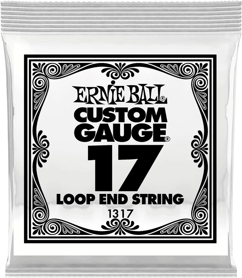 ERNIE BALL .017 LOOP END STAINLESS STEEL PLAIN BANJO OR MANDOLIN GUITAR STRINGS