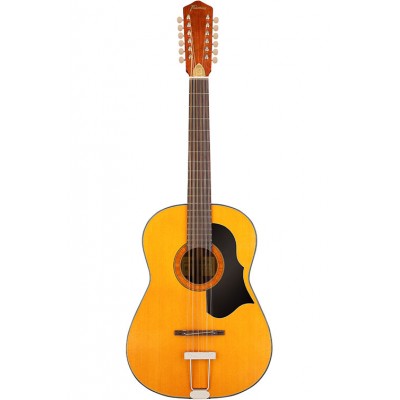 12 corde acustiche