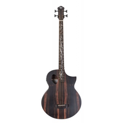 Bassi acustici bassi e electro a