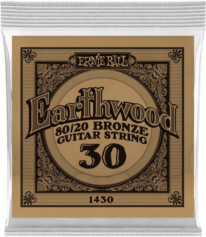 ERNIE BALL .030 EARTHWOOD 80/20 BRONZE ACOUSTIC GUITAR STRINGS