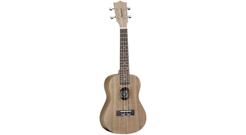 TANGLEWOOD TWT 3