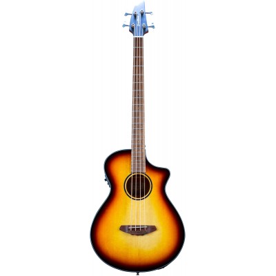 Akoestische basgitaar & elektro