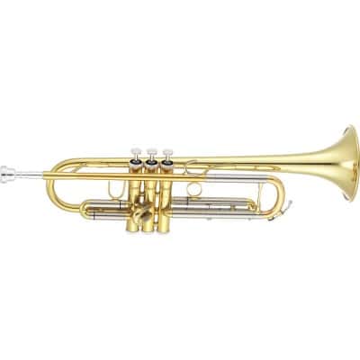 Professionele Bes trompet