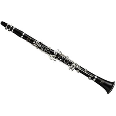 Professionele Bes klarinetten