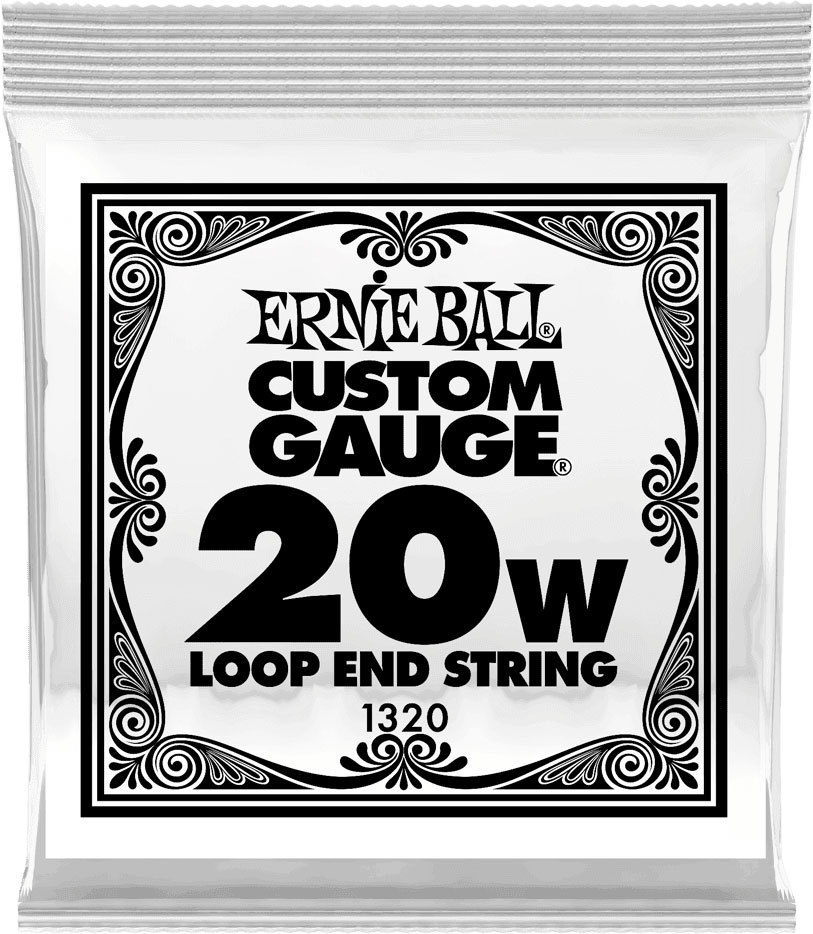 ERNIE BALL .020 LOOP END STAINLESS STEEL WOUND BANJO OR MANDOLIN GUITAR STRINGS
