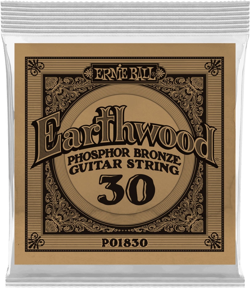 ERNIE BALL .030 EARTHWOOD PHOSPHOR BRONZE ACOUSTIC GUITAR STRINGS