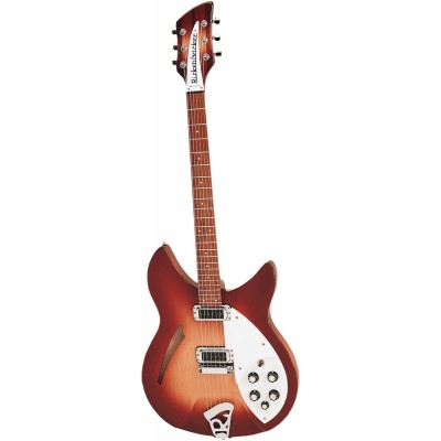 Hollow body en semi-hollow body