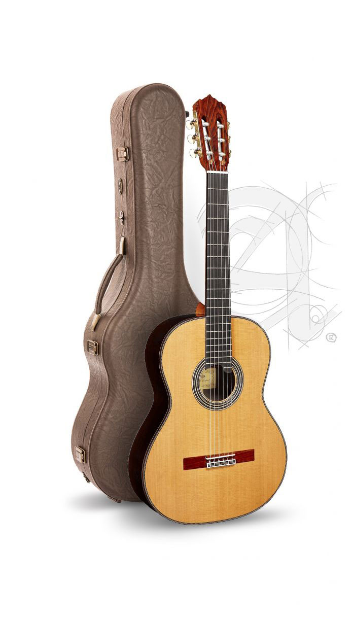 ALHAMBRA PROFESSIONAL LUTHIER LINEA PROFESIONAL + 9650 BAM ICONIC CASE