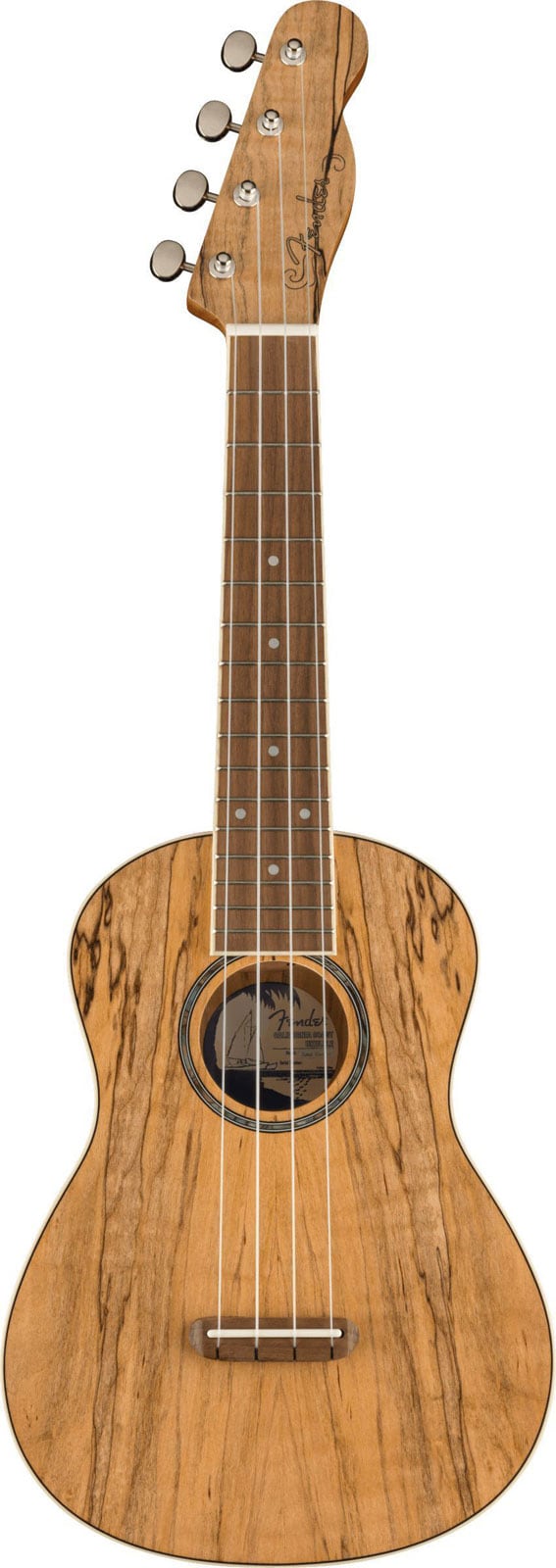 FENDER ZUMA EXOTIC CONCERT UKULELE WALNUT SPALTED MN