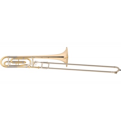 Tenor completo