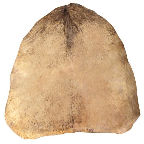 Acessórios de Djembe