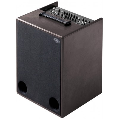 Amplificadores eletroacústicos