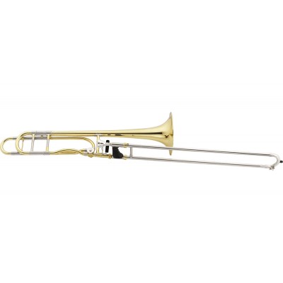 Tenor completo