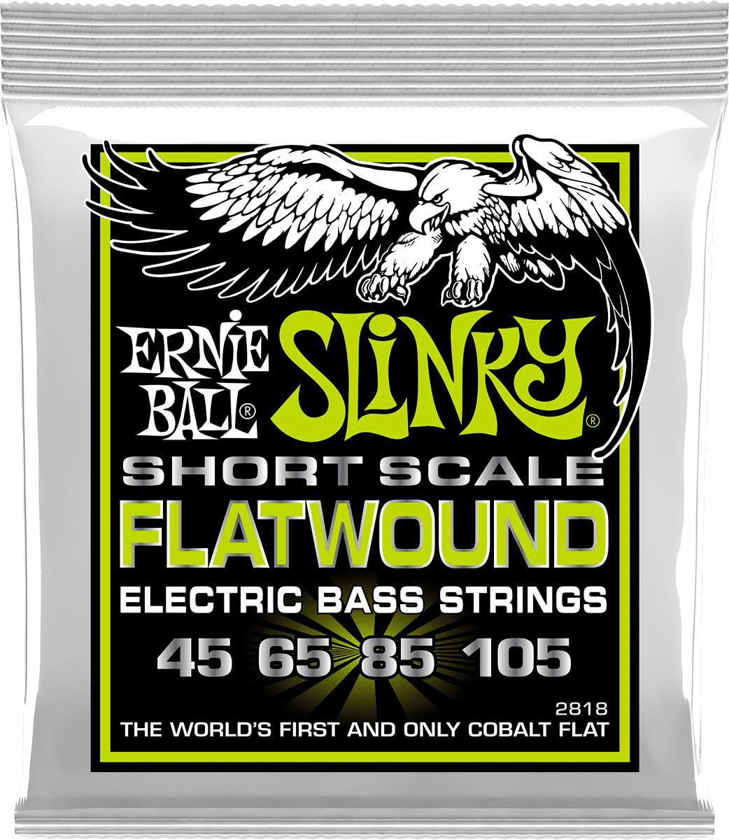 ERNIE BALL 2818 REGULAR SLINKY FLATWOUND SHORT SCALE 45-105